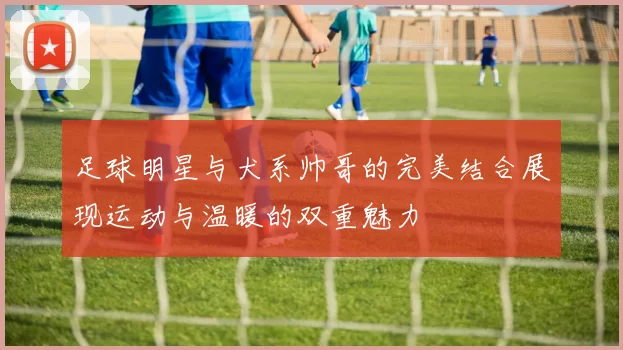 足球明星与犬系帅哥的完美结合展现运动与温暖的双重魅力