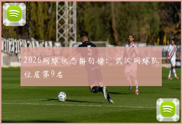 2026网球状态排行榜：武汉网球队位居第9名